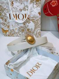 Picture of Dior Handbags _SKUfw239328947fw
